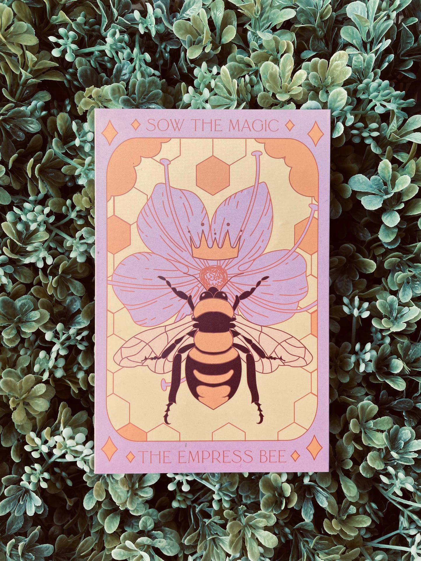 Empress Bee (Bee’s Friend) Seeds