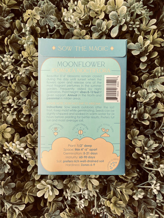 Moonflower Seeds