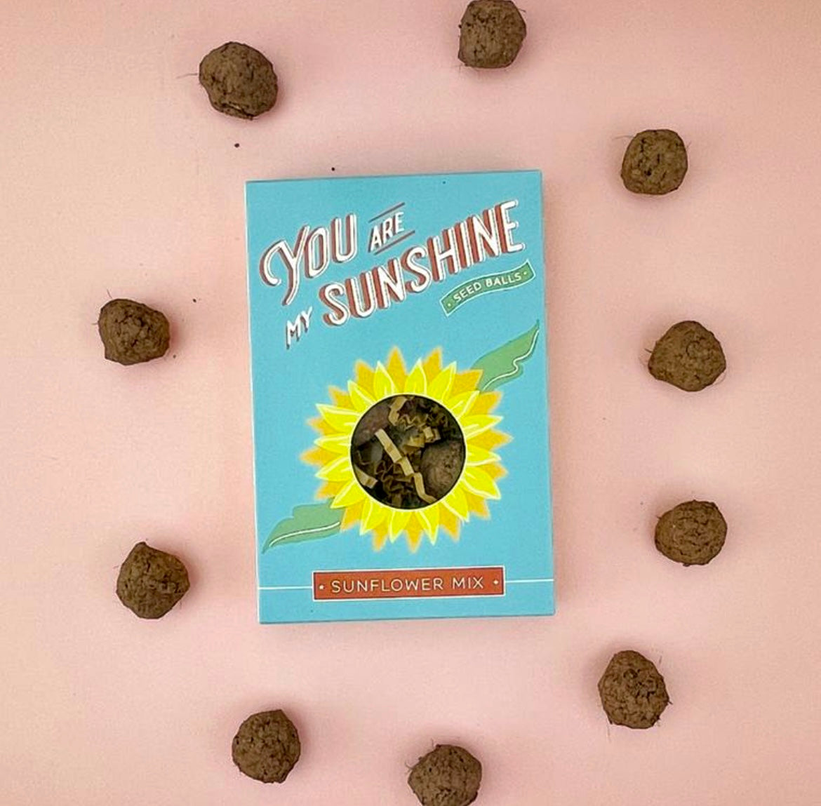 You Are My Sunshine Sunflower Seed Balls